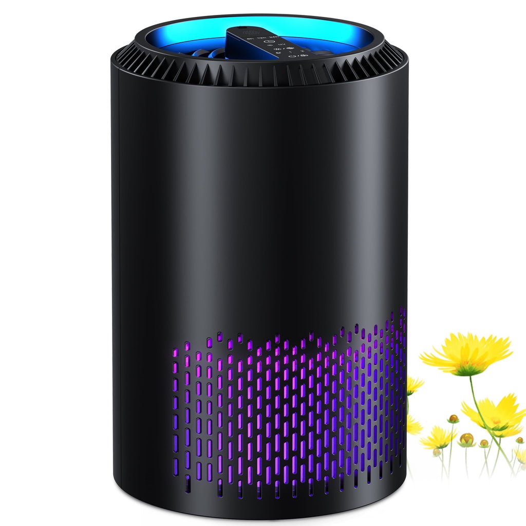 BREEZOME Hepa Air Purifier for Home & Bedroom, 22 dB Quiet Sleep Mode, Air Cleaner for PM10, PM2.5, Dust, Cotton Lint & Hair, Covers Up to 600 sq. ft./2H, Black