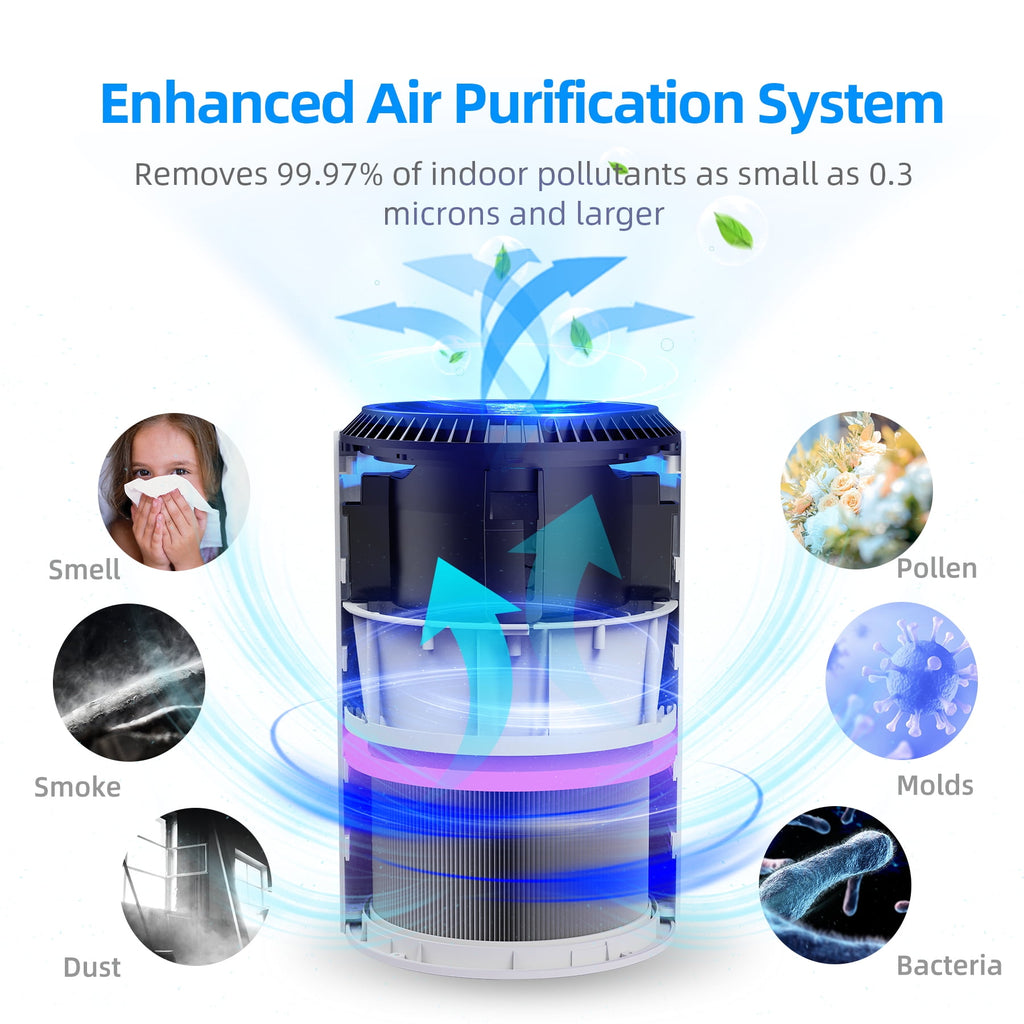 BREEZOME Hepa Air Purifier for Home & Bedroom, 22 dB Quiet Sleep Mode, Air Cleaner for PM10, PM2.5, Dust, Cotton Lint & Hair, Covers Up to 600 sq. ft./2H, Black