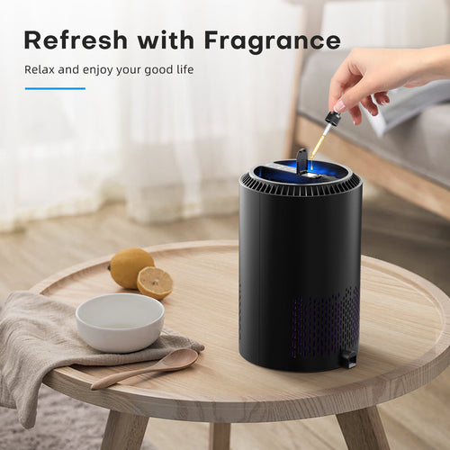 BREEZOME Hepa Air Purifier for Home & Bedroom, 22 dB Quiet Sleep Mode, Air Cleaner for PM10, PM2.5, Dust, Cotton Lint & Hair, Covers Up to 600 sq. ft./2H, Black
